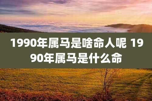 1990年属马是啥命人呢 1990年属马是什么命