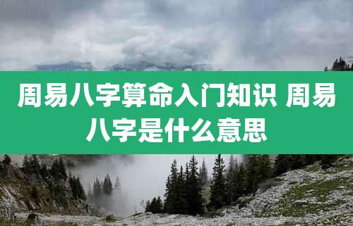 周易八字算命入门知识 周易八字是什么意思