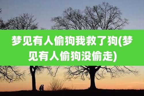 梦见有人偷狗我救了狗(梦见有人偷狗没偷走)