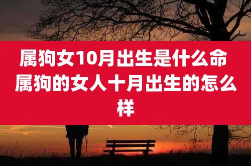 属狗女10月出生是什么命 属狗的女人十月出生的怎么样