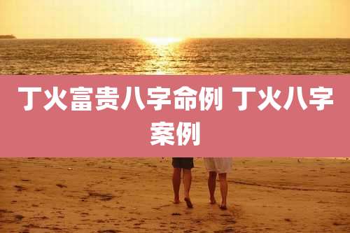 丁火富贵八字命例 丁火八字案例