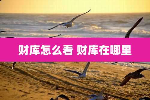 财库怎么看 财库在哪里