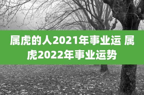 属虎的人2021年事业运 属虎2022年事业运势