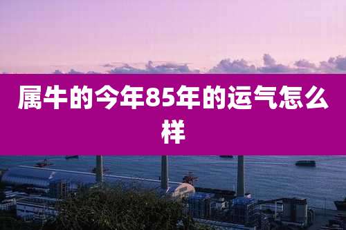 属牛的今年85年的运气怎么样