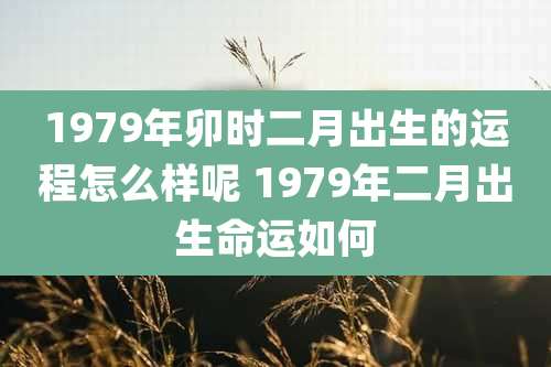 1979年卯时二月出生的运程怎么样呢 1979年二月出生命运如何