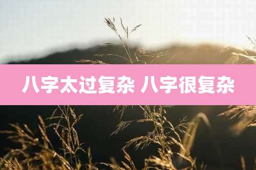 八字太过复杂 八字很复杂