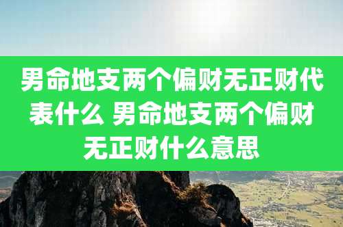 男命地支两个偏财无正财代表什么 男命地支两个偏财无正财什么意思