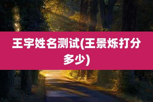 王宇姓名测试(王景烁打分多少)