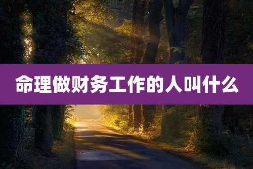 命理做财务工作的人叫什么