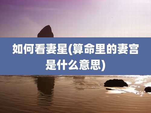 如何看妻星(算命里的妻宫是什么意思)