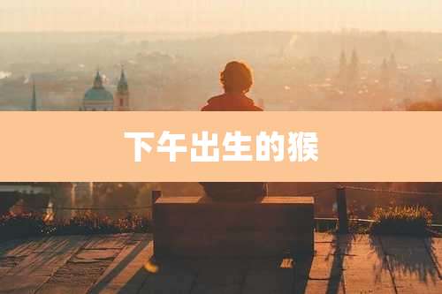 下午出生的猴