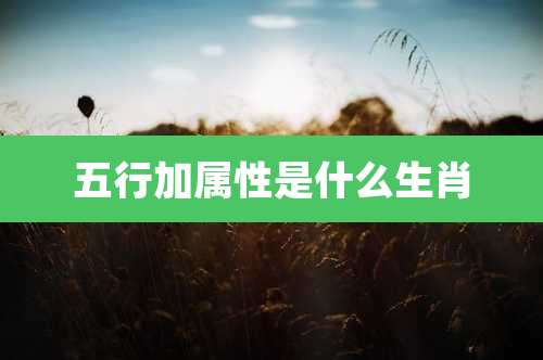五行加属性是什么生肖