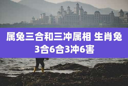 属兔三合和三冲属相 生肖兔3合6合3冲6害