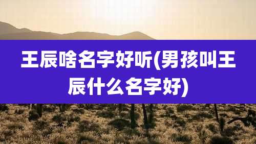 王辰啥名字好听(男孩叫王辰什么名字好)