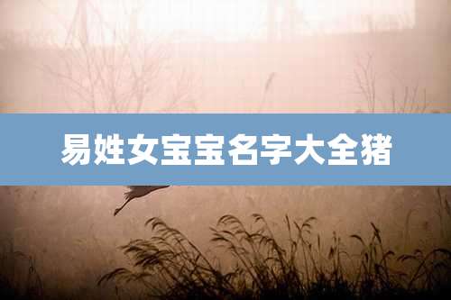 易姓女宝宝名字大全猪