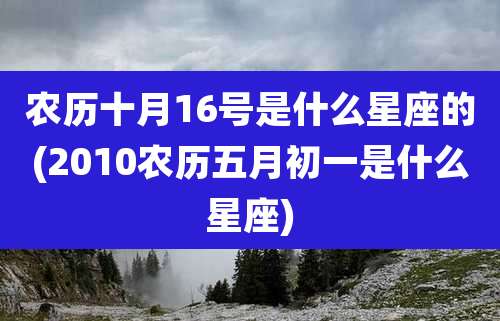 农历十月16号是什么星座的(2010农历五月初一是什么星座)