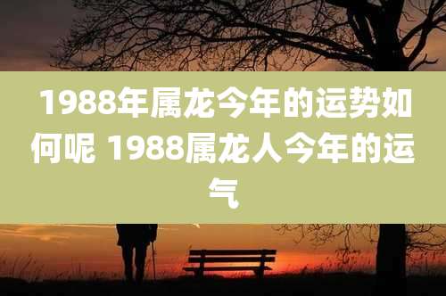 1988年属龙今年的运势如何呢 1988属龙人今年的运气