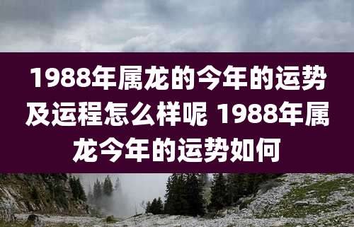 1988年属龙的今年的运势及运程怎么样呢 1988年属龙今年的运势如何