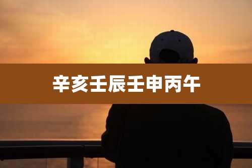 辛亥壬辰壬申丙午