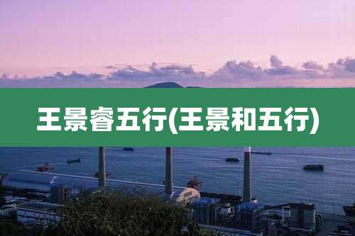 王景睿五行(王景和五行)