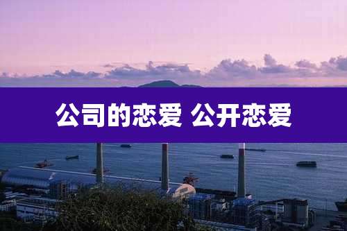 公司的恋爱 公开恋爱