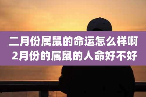 二月份属鼠的命运怎么样啊 2月份的属鼠的人命好不好