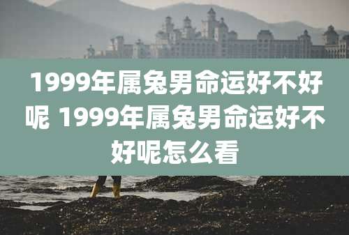 1999年属兔男命运好不好呢 1999年属兔男命运好不好呢怎么看