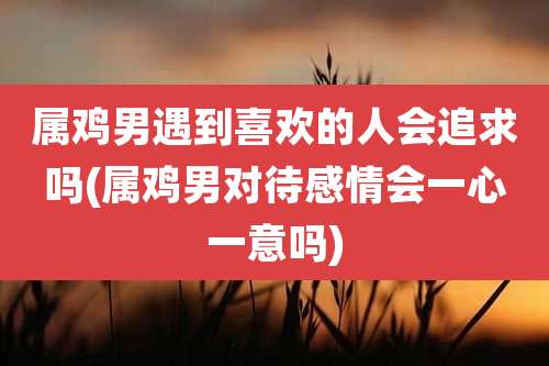 属鸡男遇到喜欢的人会追求吗(属鸡男对待感情会一心一意吗)