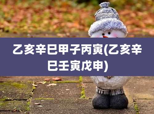 乙亥辛巳甲子丙寅(乙亥辛巳壬寅戊申)