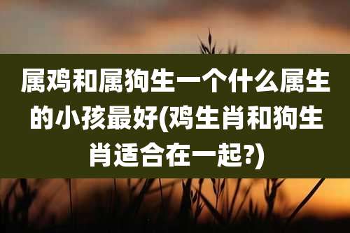属鸡和属狗生一个什么属生的小孩最好(鸡生肖和狗生肖适合在一起?)