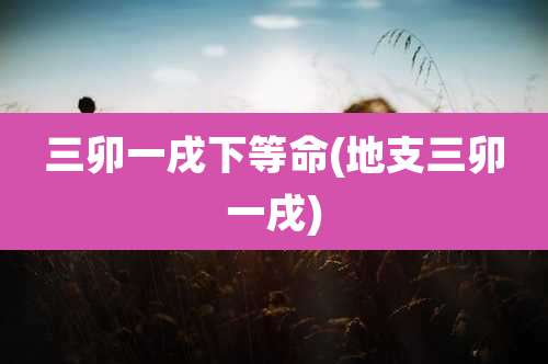 三卯一戌下等命(地支三卯一戌)