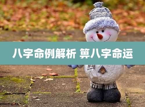 八字命例解析 箅八字命运
