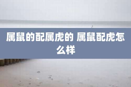 属鼠的配属虎的 属鼠配虎怎么样