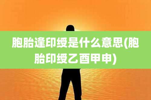 胞胎逢印绶是什么意思(胞胎印绶乙酉甲申)