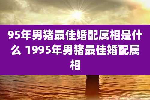95年男猪最佳婚配属相是什么 1995年男猪最佳婚配属相