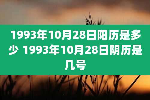 1993年10月28日阳历是多少 1993年10月28日阴历是几号