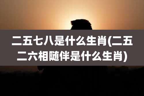 二五七八是什么生肖(二五二六相随伴是什么生肖)