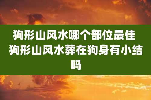 狗形山风水哪个部位最佳 狗形山风水葬在狗身有小结吗