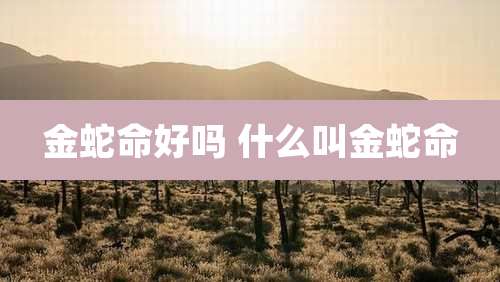 金蛇命好吗 什么叫金蛇命