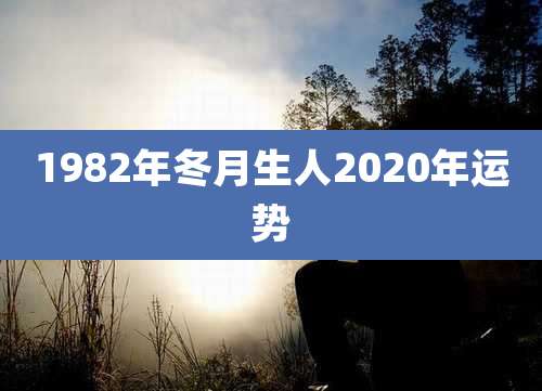 1982年冬月生人2020年运势