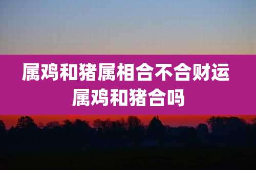 属鸡和猪属相合不合财运 属鸡和猪合吗