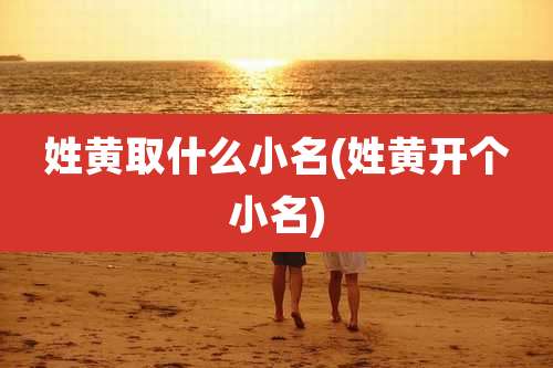 姓黄取什么小名(姓黄开个小名)