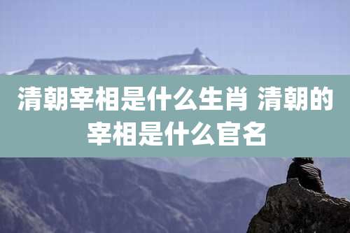 清朝宰相是什么生肖 清朝的宰相是什么官名