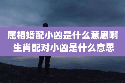 属相婚配小凶是什么意思啊 生肖配对小凶是什么意思