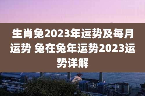 生肖兔2023年运势及每月运势 兔在兔年运势2023运势详解