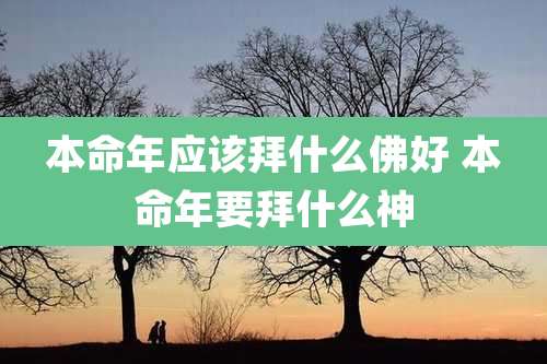 本命年应该拜什么佛好 本命年要拜什么神