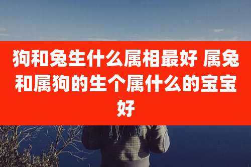 狗和兔生什么属相最好 属兔和属狗的生个属什么的宝宝好