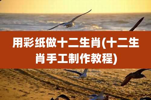 用彩纸做十二生肖(十二生肖手工制作教程)
