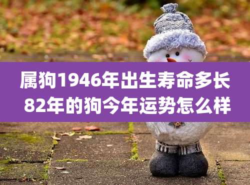 属狗1946年出生寿命多长 82年的狗今年运势怎么样