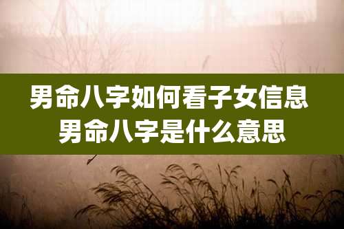 男命八字如何看子女信息 男命八字是什么意思